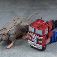 kingdom_rattrap_045