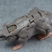 kingdom_rattrap_034